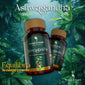 🌿 ASHWAGANDHA – TU CALMA NATURAL EN CÁPSULAS