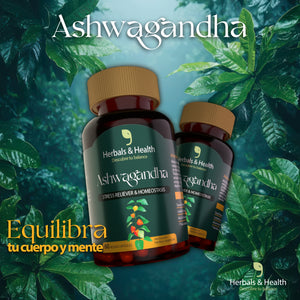🌿 ASHWAGANDHA – TU CALMA NATURAL EN CÁPSULAS